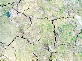 cracked_ground