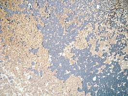 rustic_background