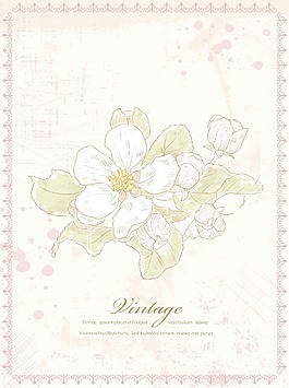 畫花卉背景矢量插畫