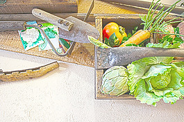 veggiestill