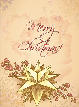 圣誕節(jié)插畫矢量與明星和小紅莓