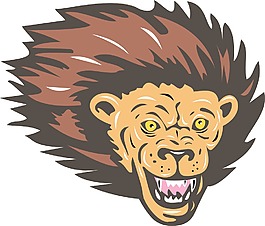 獅子頭大的貓