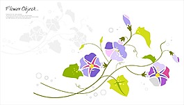 紫色喇叭花