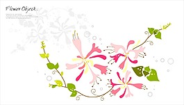 粉白花花朵