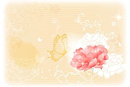 牡丹花朵背景