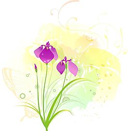 精美的蘭花