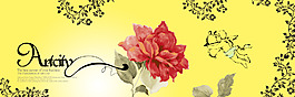玫瑰花