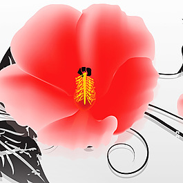 花卉