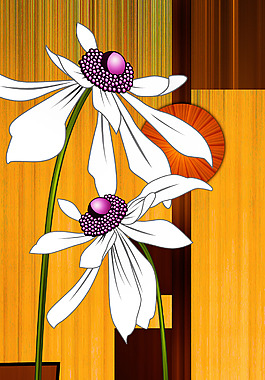 玄關(guān)  花卉
