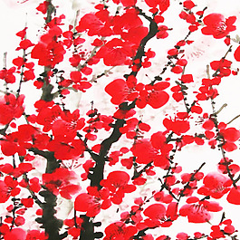 梅花