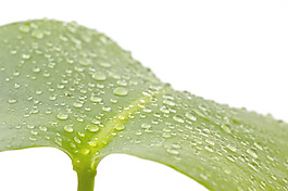 在雨滴