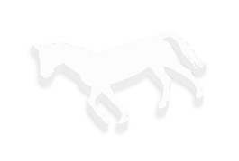 三維的馬