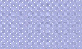 七彩星空303