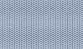 海外風(fēng)1203