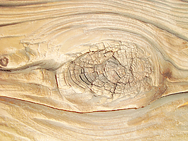 timber_wood