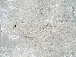 cement_made_texture