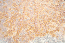 urban_rusty_texture