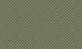 海外風(fēng)803