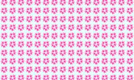 花的圖片394