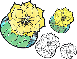 仙人掌花