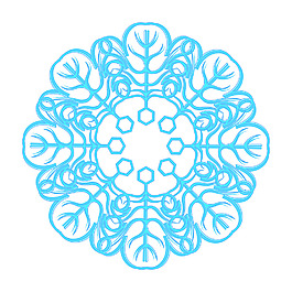 雪花的插圖