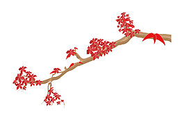 有机花枝向量
