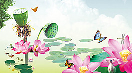 荷花背景圖