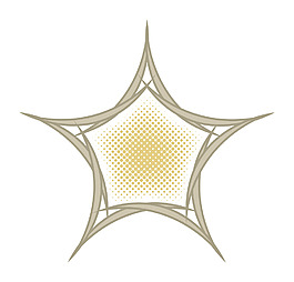 節(jié)明星