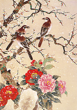 牡丹花鳥