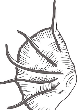 向量的海洋生物