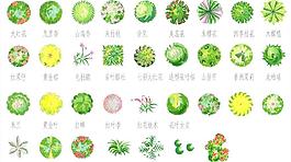 园林花草平面图ps