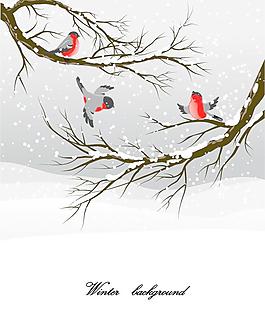 冬天的雪鳥插畫矢量素材