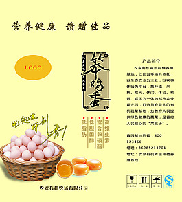 笨雞蛋箱