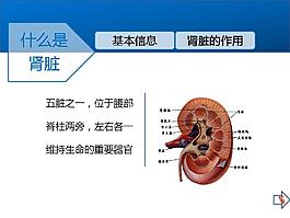 日常生活的護腎關鍵