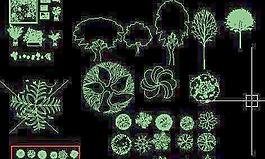 cad常用的植物圖塊