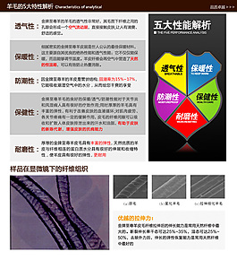 羊毛的特性海報圖
