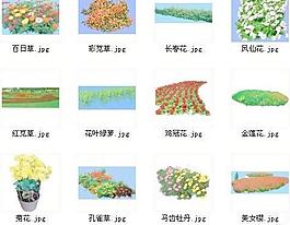 常用園林植物PS后期處理素材