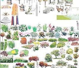 小品花草集素材彩圖