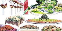 PSD花壇分層素材