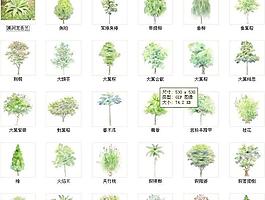 PS植物素材匯總