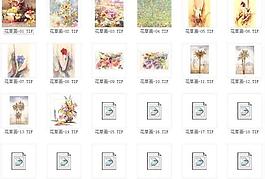 效果圖配景素材之花草畫