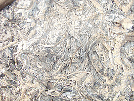 ash_texture