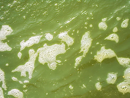 green_water_texture