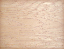 plank_woo
