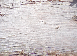 wooden_texture