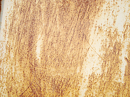 oxidized_background