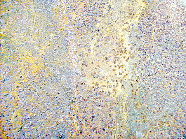 rusty_surface