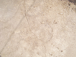 old_ground_texture