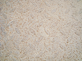 rusty_diamond_sheet