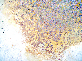 rusty_texture